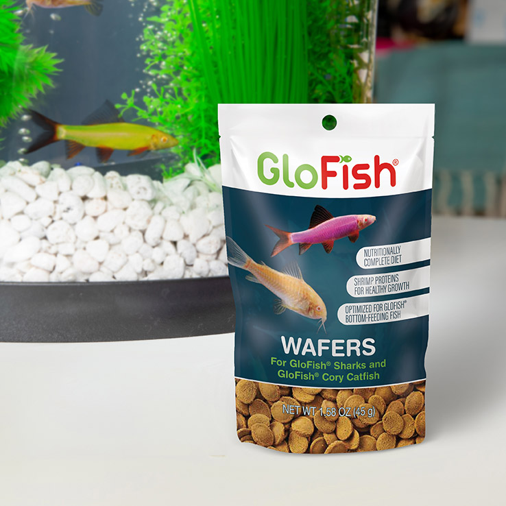 GloFish Cory Wafers GloFish